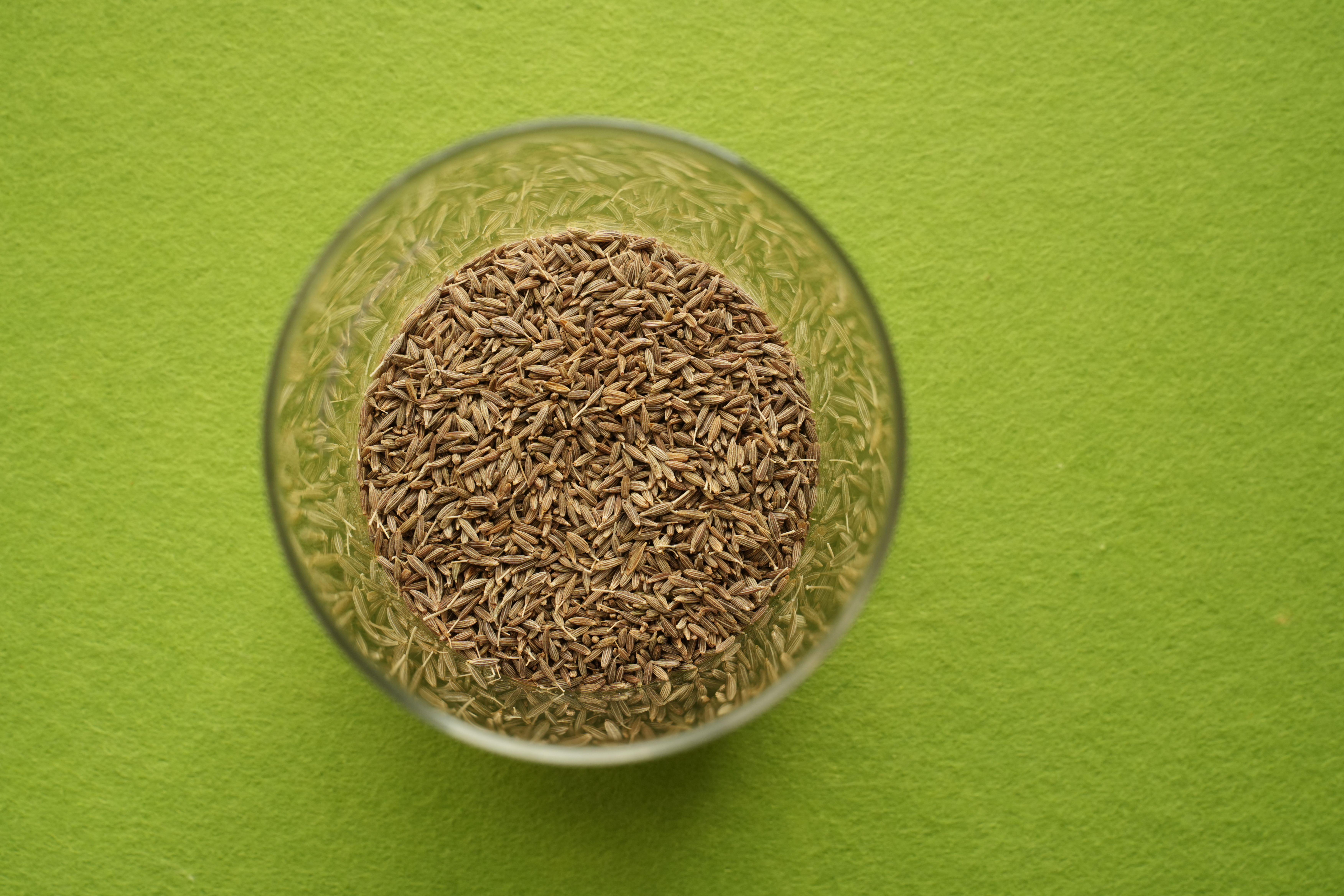 Cumin Seeds - Europe Quality